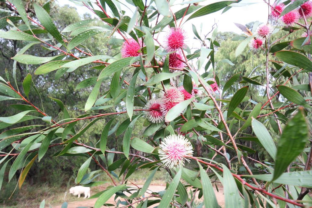 Margaret River Bed & Breakfast Εξωτερικό φωτογραφία